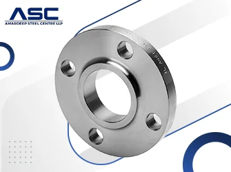 SS 446 ASME Flanges